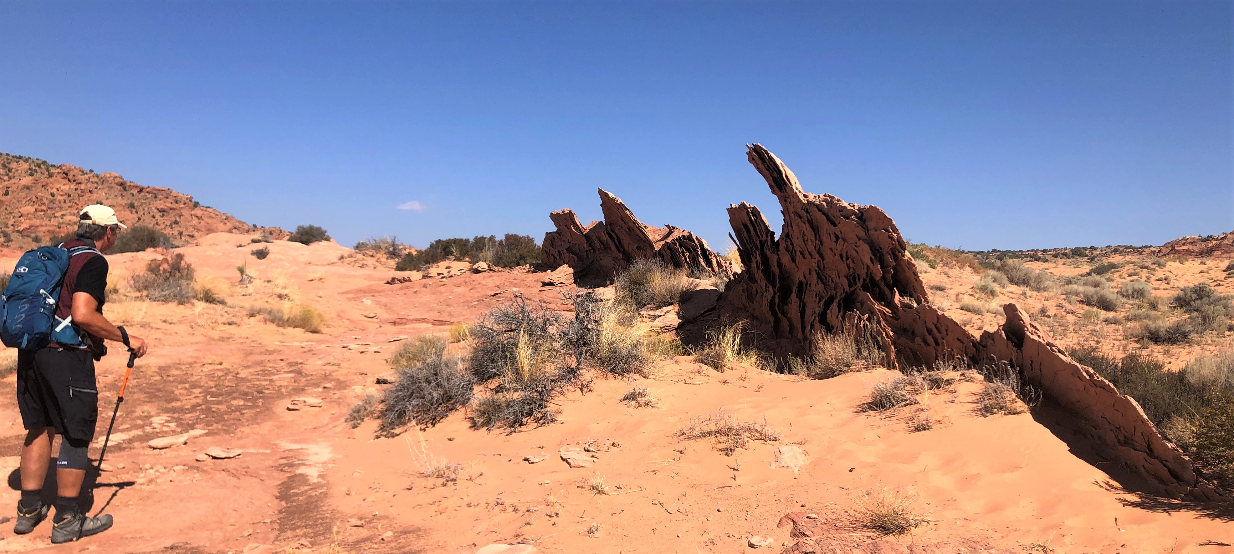 Vermillion Cliffs NM